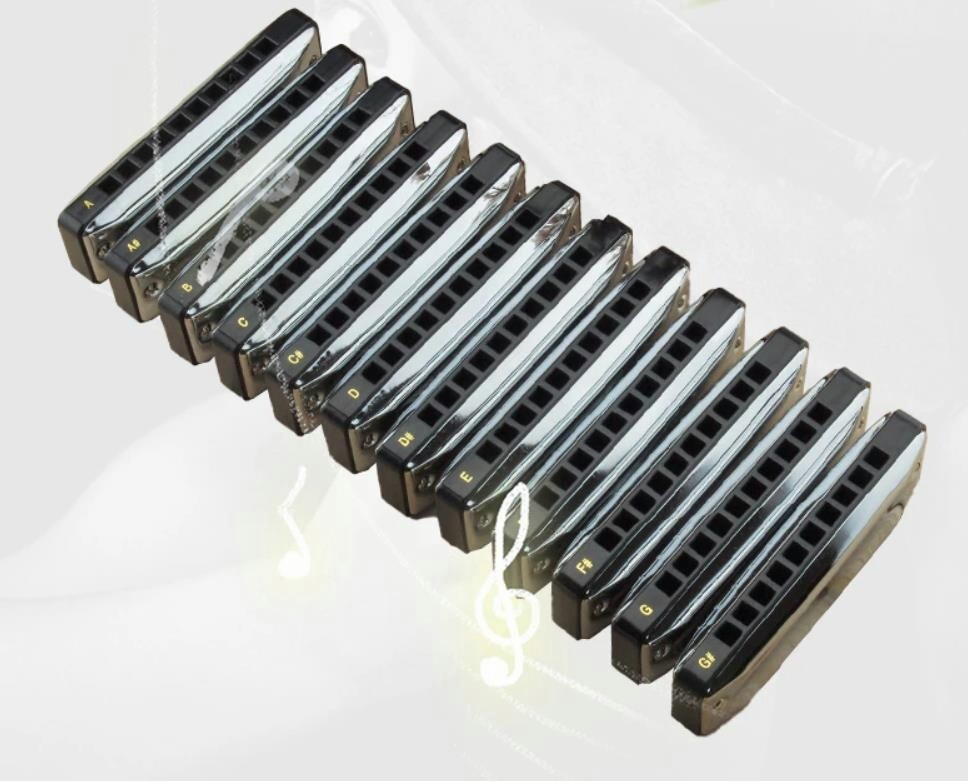 EASTTOP Harmonica set 10Hole 20Tone Diatonic Blues Harmonica Set blues harp set