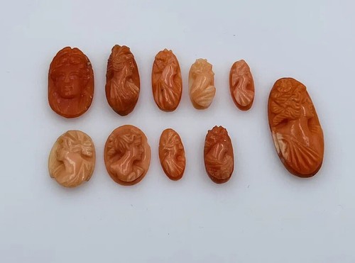 565512_5 565512_5