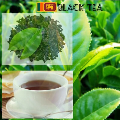 CEYLON BLACK Tea FRESH ORGANIC NATURAL QUALITY SRI LANKA