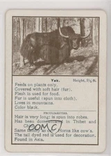 1903 Cincinnati Games Wild Animals Yak #YAK 0w6