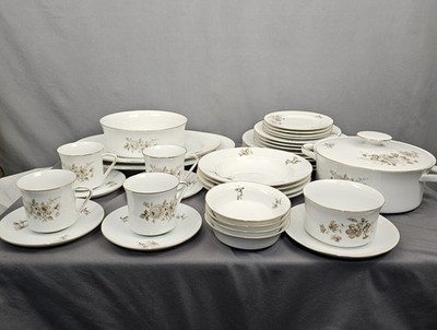 Vintage Twilight Rose China 37 piece Set Haviland Bavaria Germany Porcelain New