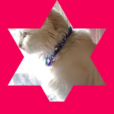 *Lovely Star Gazer Cat Dog Necklace. Lead-Free Real Stones. Customize. 2 Strands