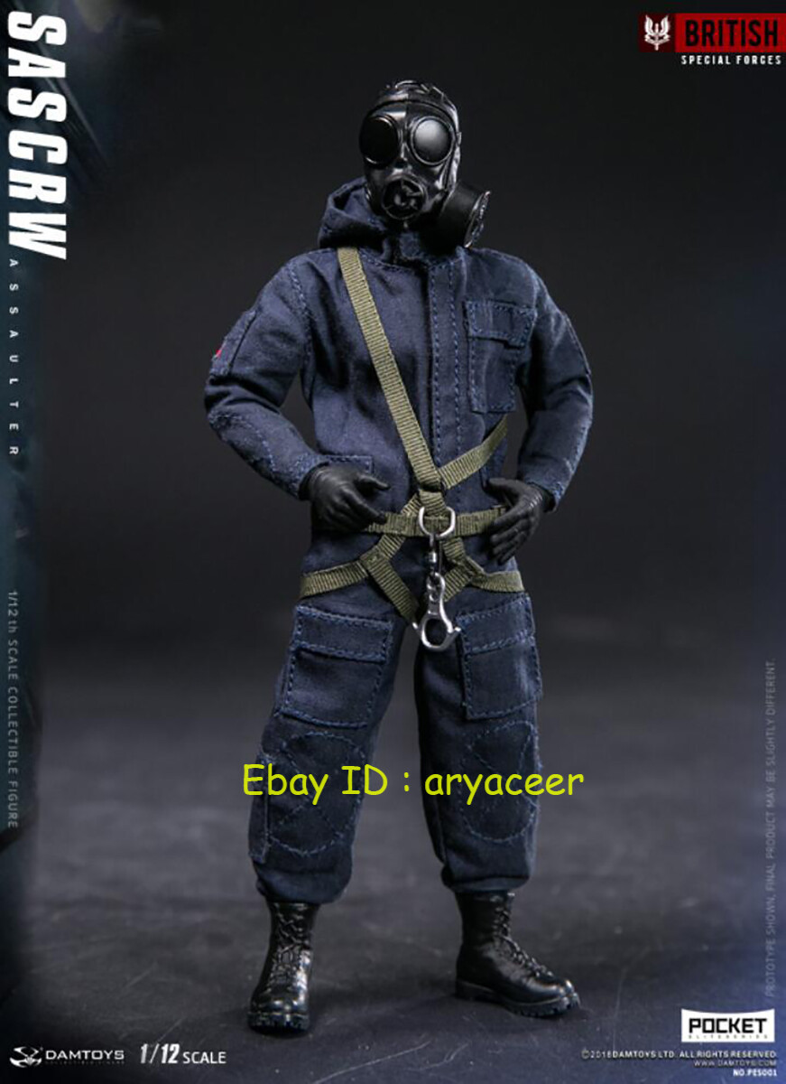 ミリタリー DAMTOYS 1/12 POCKET ELITE SERIES SAS CRW s-l1200.jpg