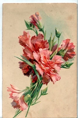 CARTE Fantaisie Gaufrée en relief Représentant un bouquet d'Œillets - Photo 1/2