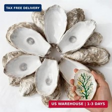 30Pcs 4"-6" Oyster Shells for Crafts Natural Large Oyster Shells for DIY Craf...