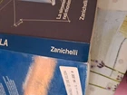 Foto 12 di 24