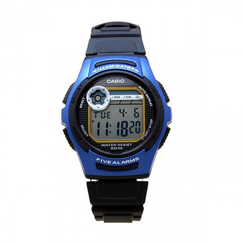 casio w213