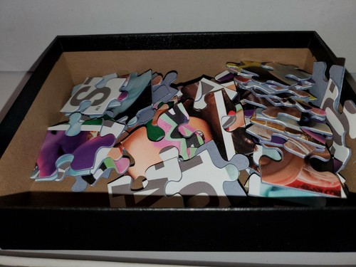 The Loyal Subjects Fan Jam Puzzle Swag SDCC 2019 60 Pieces WWE GOT MOTU PREDATOR - Bild 2 von 2