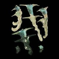 Rainforest Spiritual - Jellyfish Reproduce Black Magic - Vinyl Record - F72Z
