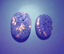 Fluorescent Sodalite  Yooperlite   2.5 oz Total. Two Bright Yooperlites