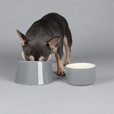 Image of Scruffs Classic 2 Piece Flat Faced Dog Bowl & Water Bowl - 20cm | 18cm - Grey