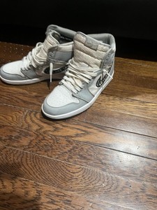 air jordan dior ebay