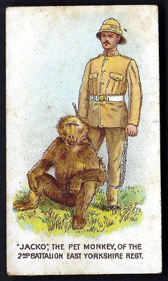 WILLS (SCISSORS) - REGIMENTAL PETS - #31 JACKO, PET MONKEY, EAST YORKSHIRE REGT