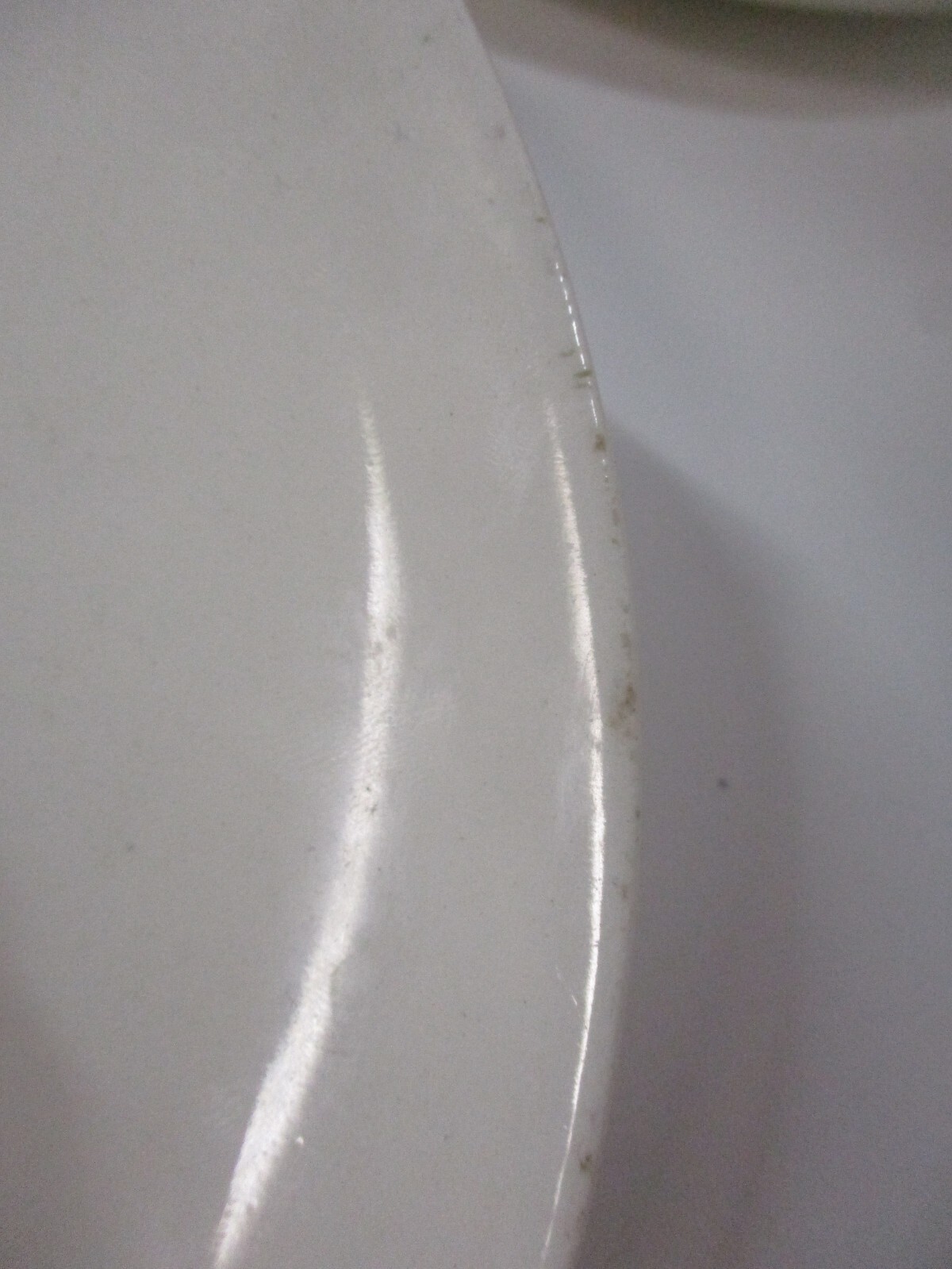 Santa Anita Ware Flowers of Hawaii SHELL GINGER 8" Plate