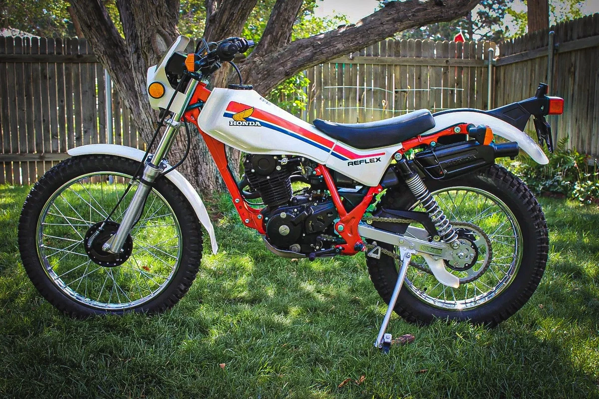Is This Immaculate Honda TLR200 Too Nice to Ride?
