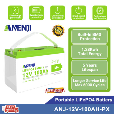 12V 100Ah 1.28Kwh LiFePO4 Akku BMS Rechargeable Battery Pack for Solar Boat RV