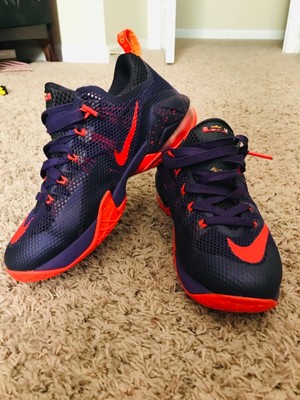 lebron 12 low court purple