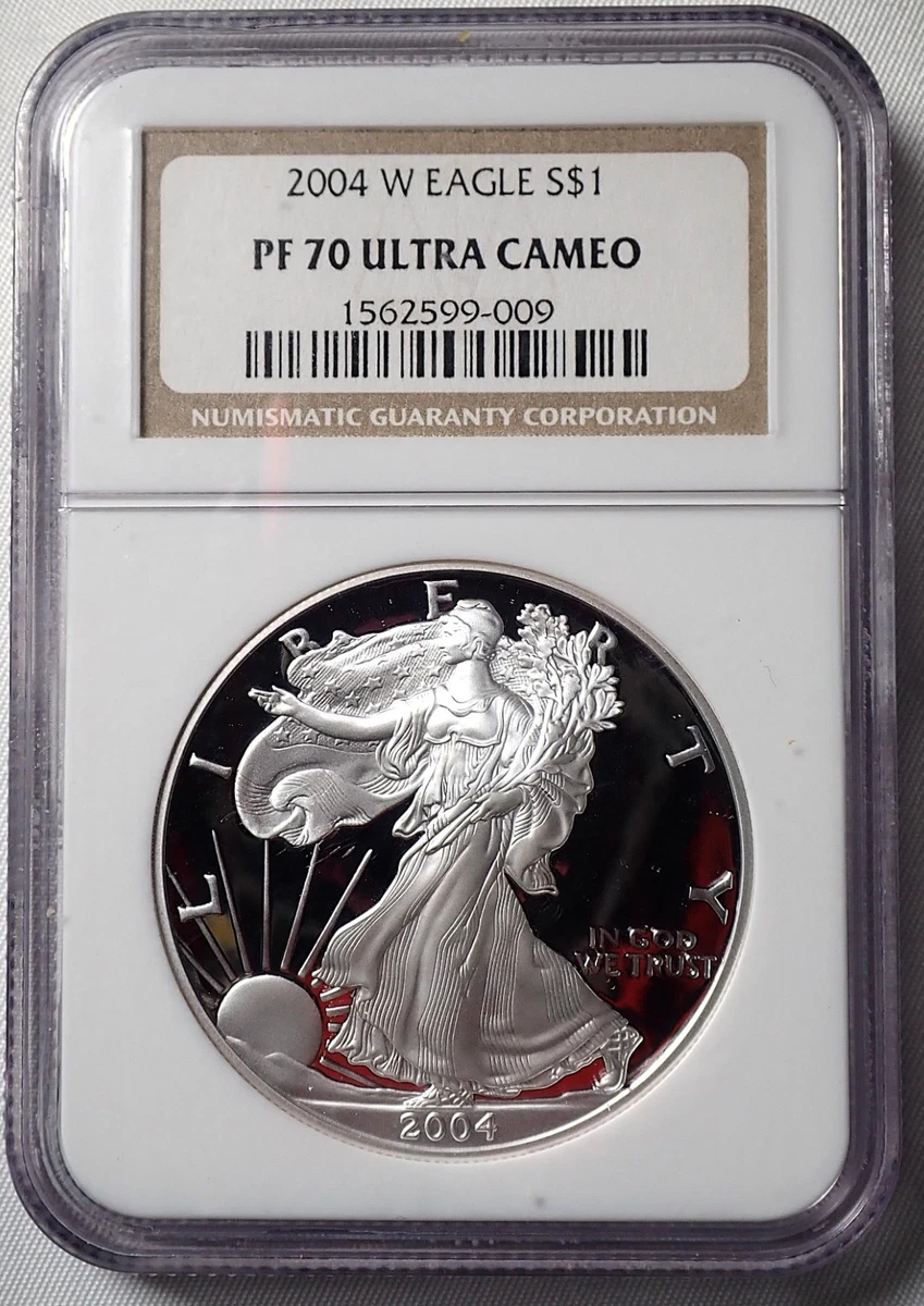シルバーアメリカンイーグル 2004年 未流通 2004年アメリカイーグル銀貨1オンスカプセルケース入 - メルカリ