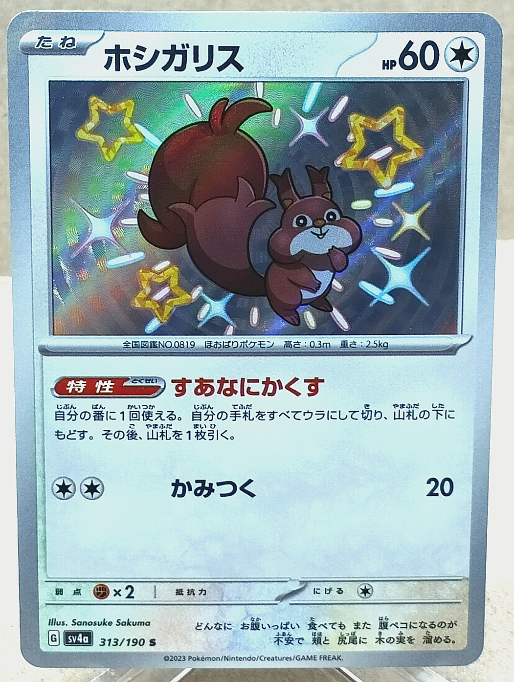 Skwovet 313/190 Shiny Rare Sv4a: Shiny Treasure Ex Pokemon TCG NM