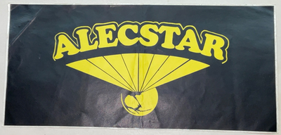 Vintage ALECSTAR Bumper Sticker 80s New York Rock Band Apx 4”x9