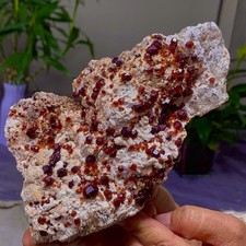 1.4LB Natural red Garnet with rocks Mineral Crystal Specimen Museum Grade