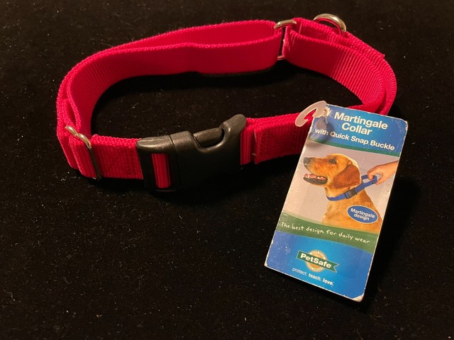 PetSafe Nylon Martingale Collar