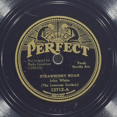 JOHN WHITE Strawberry Roan / Little Doggie PERFECT 12712 VG 78 1931 Country 10''