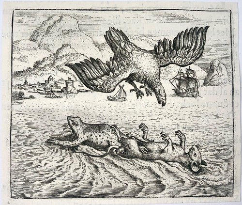 1617 Gheeraerts, Master Engraving, Aesop: the Frog, Rate and Eagle, Fable - Picture 2 of 3