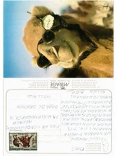 CPM AK TUNISIA No Comments (258093)