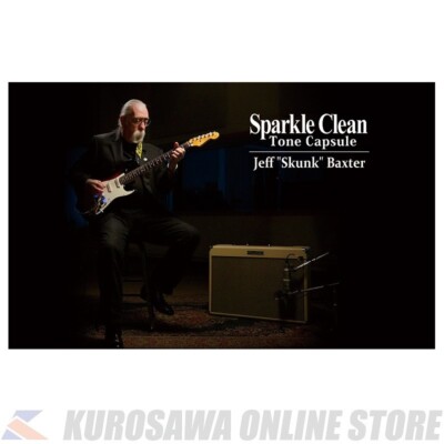 NEW Roland BC TC-SC Sparkle Clean Tone Capsule for Blues