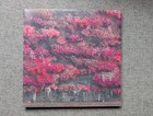 Sleep Token-Even In Arcadia Neon Pink and Black Marble Vinyl Limited Edition 2LP