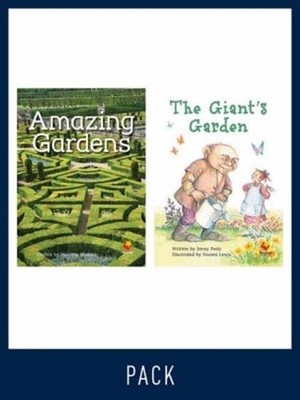 Flying Start Guided Reading Level 19, Pack 3: Paired student books (6x6) and les