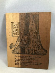 Postcard-Wooden-Believe-or-Not