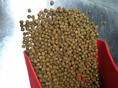 Koi food bulk 10 lb Oscar Grow fish food pellet 40 