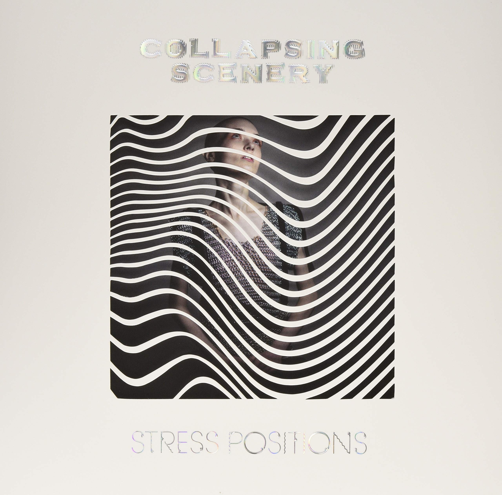 Stress Positions (Vinyl LP)