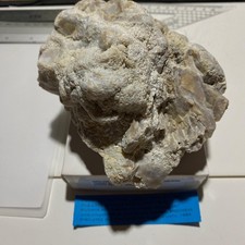 OPALINE CHERT WITH GLOBULAR CLUSTERS FROM DEVON. 865g MF1332