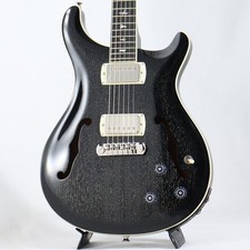 Paul Reed Smith (PRS) SE Cuerpo Hueco Estándar Piezoeléctrico (Pelo de Perro Smokeburst) 841799