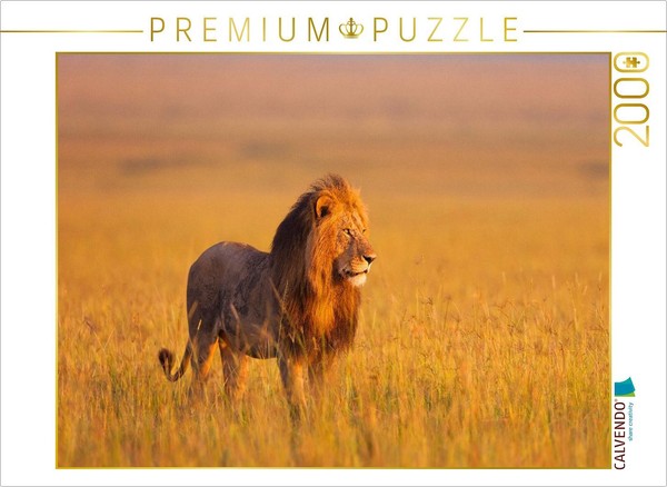 Calvendo Puzzle African Lion, Masai Mara, Kenya. | 2000 Pieces, Finished Size 35-image