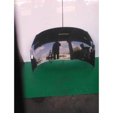 BONNET FOR PEUGEOT 206 PLUS (09-13) 1.1 (44KW) BER. 3P/B/1124CC 2009