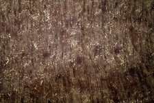 BROWN WITH GOLD FLECKS - 100 COTTON FABRIC