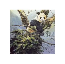 John Seerey-Lester Qinling Panda
