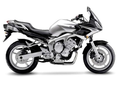 Auspuffanlage [Leovince] LV One Evo Inox Yamaha FZ6 Naked 2004-2006 8422EN