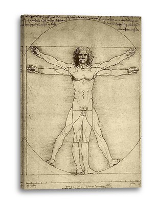 Lein-Wand-Bild Kunstdruck: Leonardo da Vinci Vitruvianischer Mensch