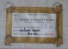 Bild 7 von 10