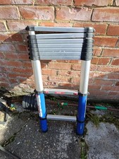 Telescopic Ladder