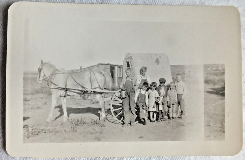 antique photograph 7 young children posing with their covered wagon 3"x4.75" vtg