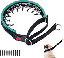 Martingale Collar Hidden No Pull Dog Collar with Buckle Adjustable, Green,S