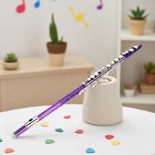 C Flute Beginner Kit - Split E 16 Keys Closed Hole Nickel Silver Case Purple