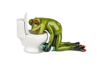 Deko Frosch Figur HellgrüN- Frosch Vor Toilette -14X8Cm Aus Kunststein