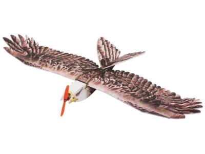 PICHLER Seeadler (Combo Set) / 1430 mm / C4851